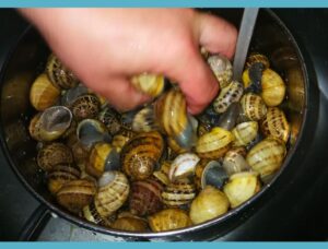 cabrillas en salsa cómo lavar cabrillas