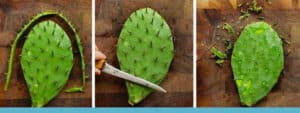 receta de ensalada de nopales como limpiar nopales