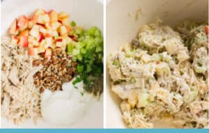 receta de ensalada de pollo fría ensalada de pollo con manzana